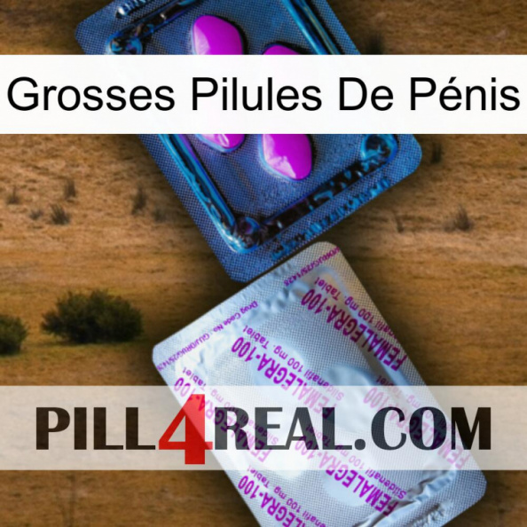 Grosses Pilules De Pénis 37